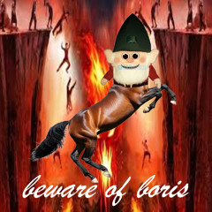 beware of boris