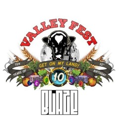 Valley Fest 2024 Competition Entry
