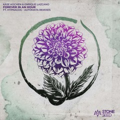 FREE DOWNLOAD: Käse Kochen & Enrique Lazcano - Forever In An Hour (Automata Remix) [Stone Seed]