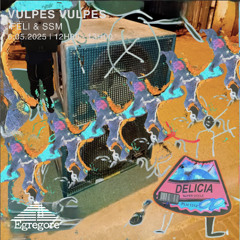 féli et ssm - Vulpes Vulpes (Mai 2025)