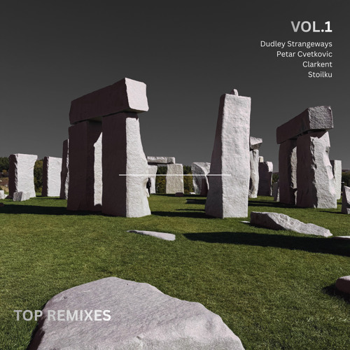 Facility (Petar Cvetkovic Remix) cover