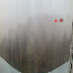 sickstarboy - Cold Poison