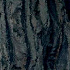 Das Eis (From Die Wuzeln)