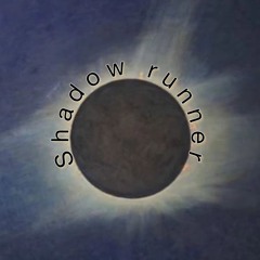 Shadowrunner (Wildsilences Feat. Telefan)