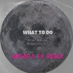 What to do X shook one Pt 3 (Andøra FR REMIX)