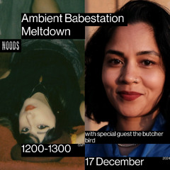 Ambient Babestation Meltdown Dec Noods show with the butcher bird