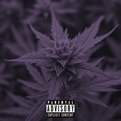 I Need My Weed