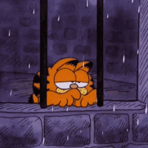 my feelings should just disappear forever