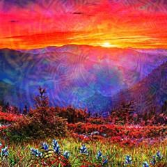 Nikösh @Beat Vallée 2022