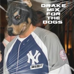 Drake MIX for the dogs (The Jose Show)