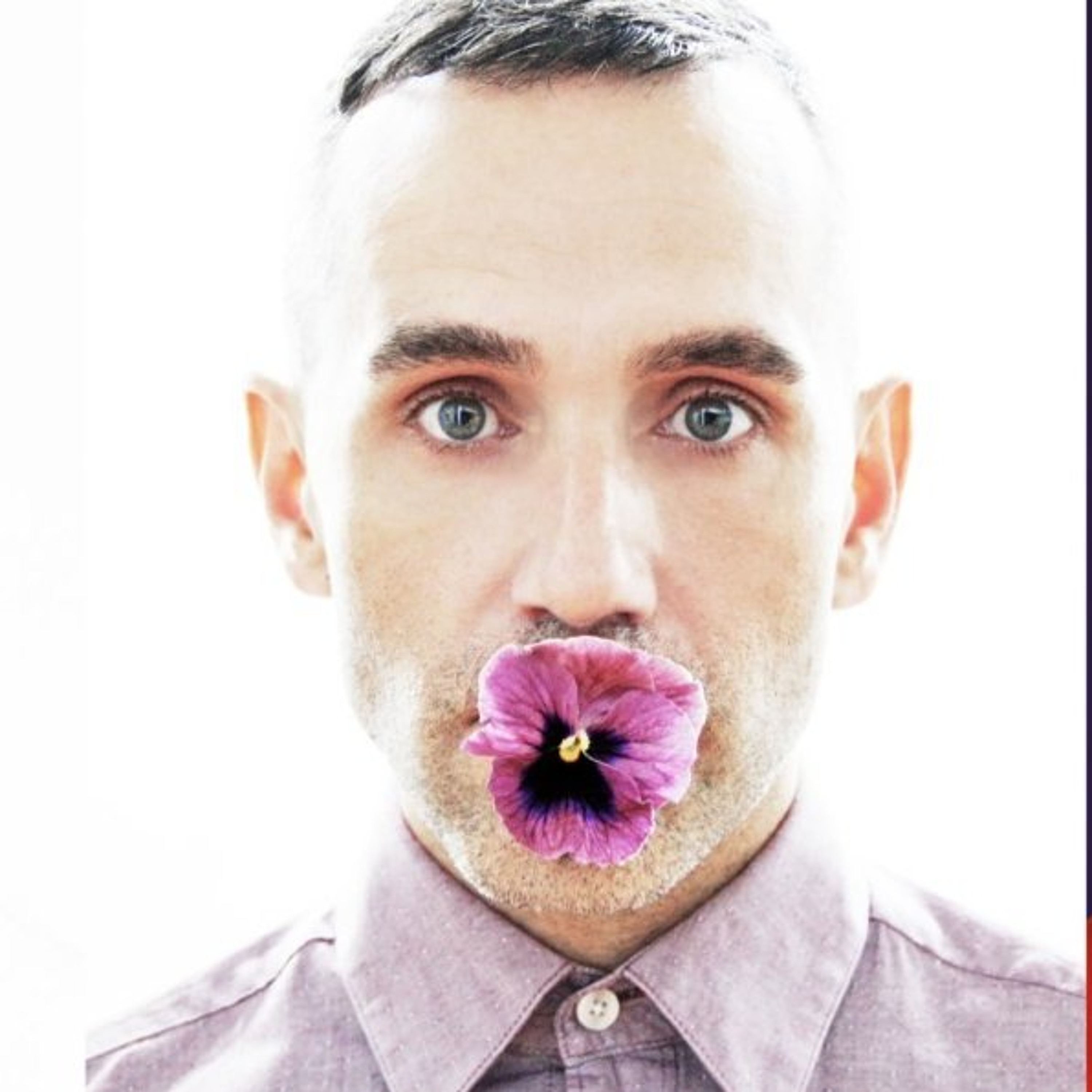 The Pansy Project episode artwork