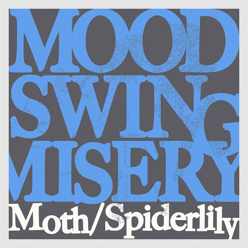 Moth