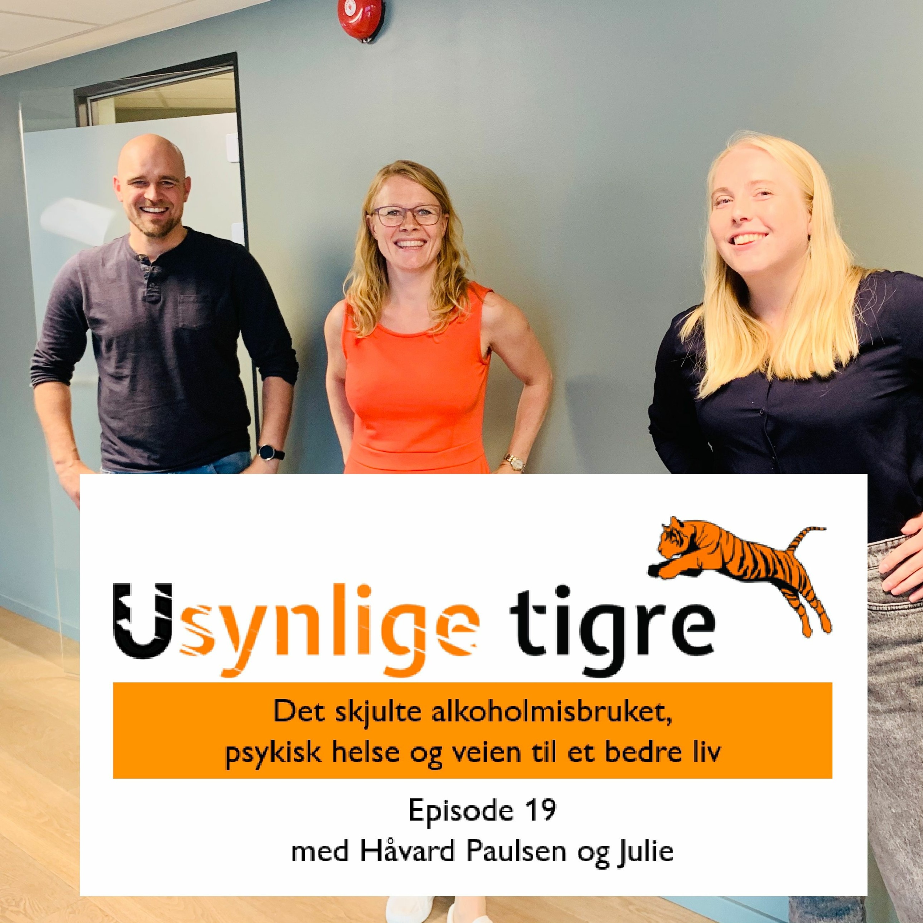 Usynlige tigre-podden
