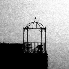 [naviarhaiku594] caged bird, with envious eyes