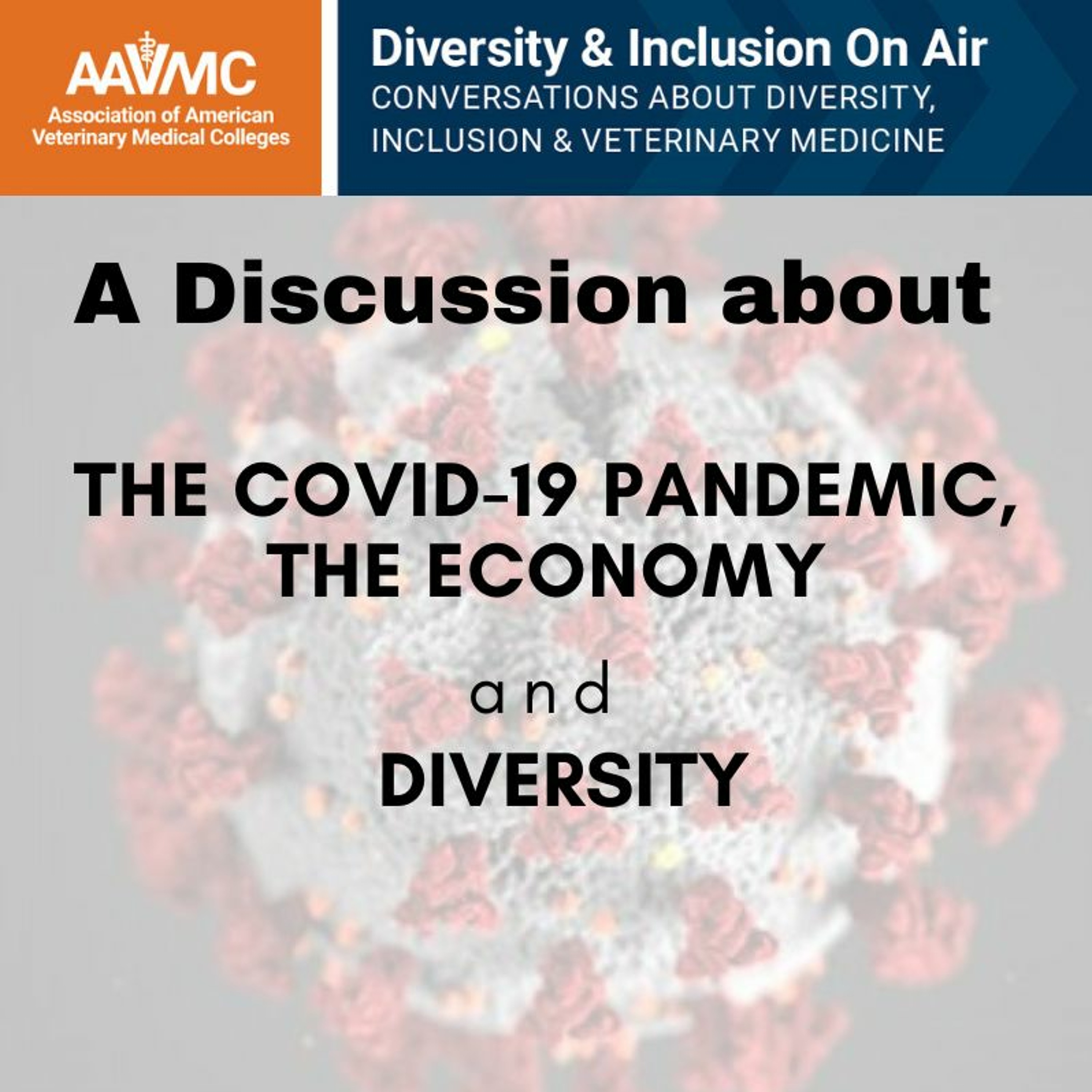 AAVMC\'s On Air: Conversations about Issues in Veterinary Medicine