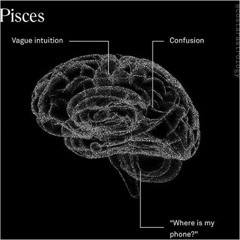 Pisces 1 ☼
