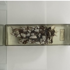 Live at Avalon Cafe - SAOM, October 2025