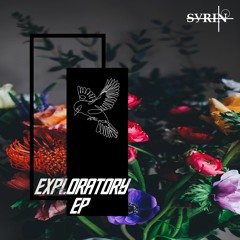 Syrin - Falling Deeper (Radio Edit)