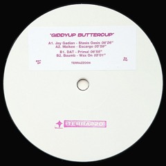 PREMIERE: JAY GADIAN - STASIS OASIS [TERRAZZOO6]