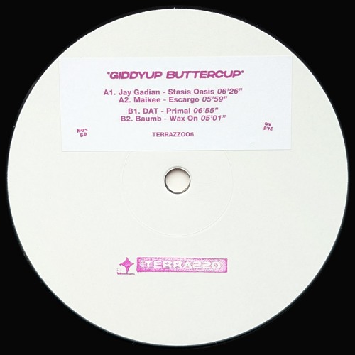 PREMIERE: JAY GADIAN - STASIS OASIS [TERRAZZOO6]