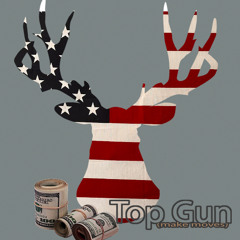 TOP GUN (mission impossible)