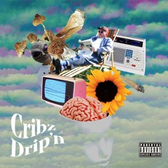 Cribz~Drip'n