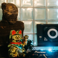 Downtempo Organic Beats 2025 Nov