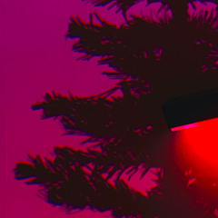 Majesty And Highness