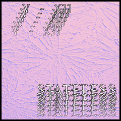 2022 #5 (STATELESS’ SUMMER JUNGLE SPESH)