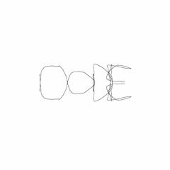prxmvc x q.rih x xantikvariāts - lode