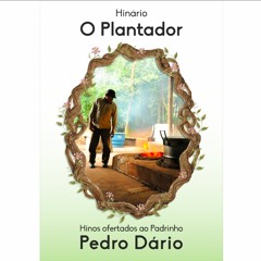 4 Jardim Perfumoso