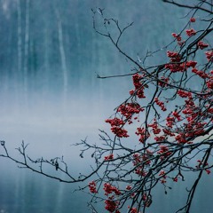 Ambient Fall (The missing link for my collection "Ambient Season" Vol 1)