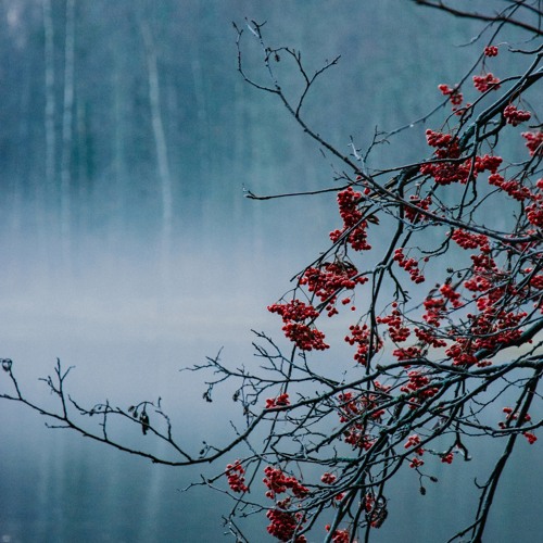 Ambient Fall (The missing link for my collection "Ambient Season" Vol 1)