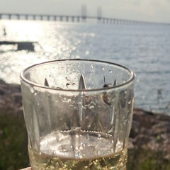 Paul Brandon - What´s the point 250817.mp3