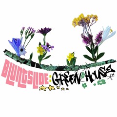 Green-House Mix: BLUNTSLIDE (90's Hip Hop)