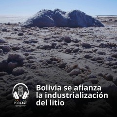 Bolivia se afianza la industrialización del litio