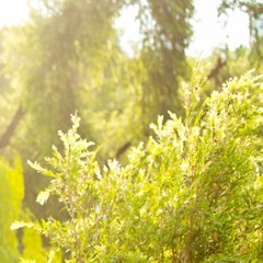 Sam Cooke - A Change Is Gonna Come