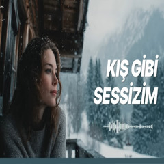 Kış Gibi Sessizim