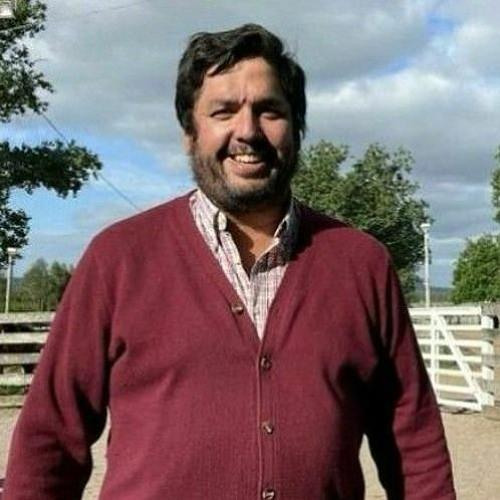 Alejandro Dutra - Director de Escritorio Dutra, presidente de Pantalla Uruguay