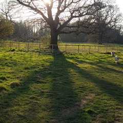 Let me hold you one more time