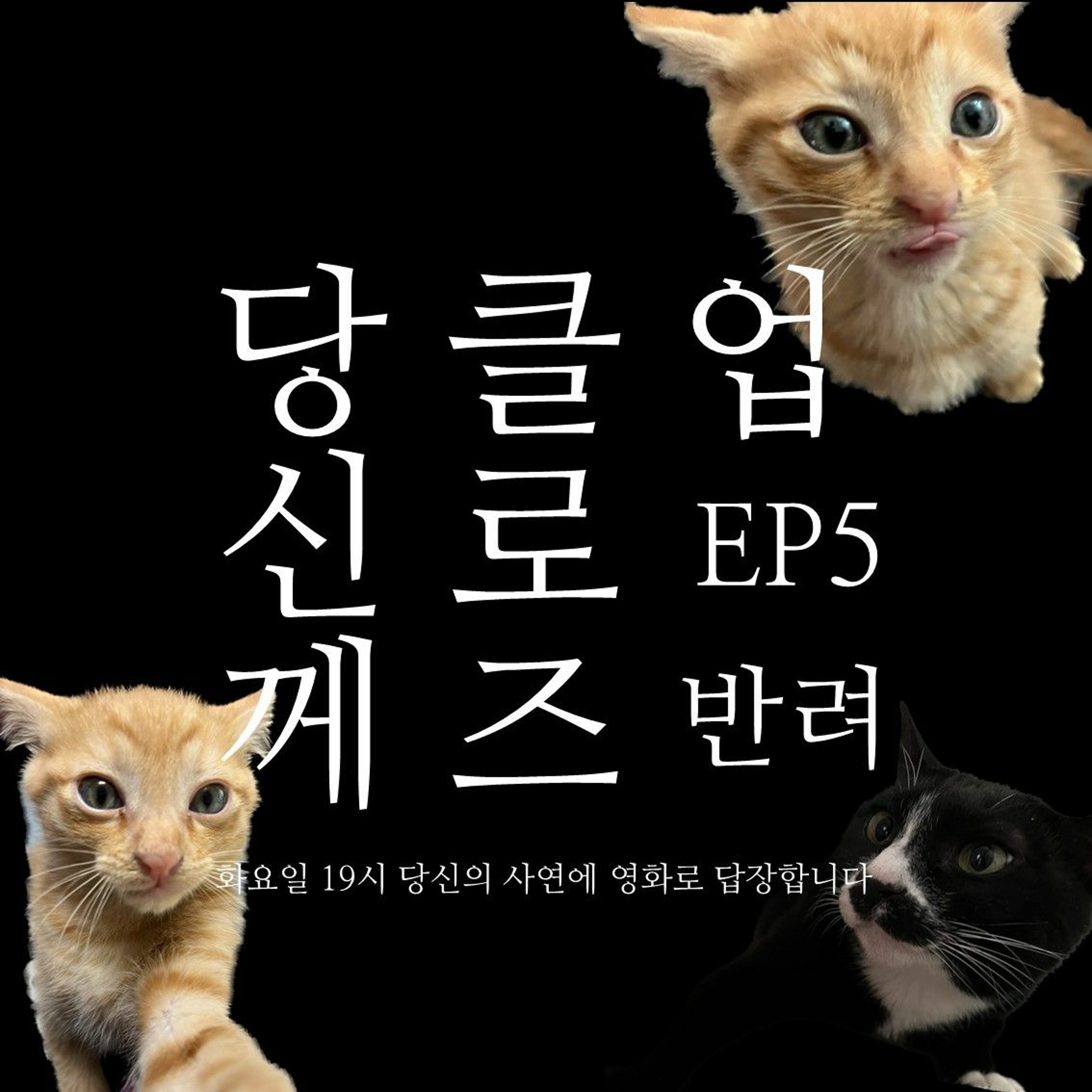 230523 당신께 클로즈업 EP.5 반려 episode artwork