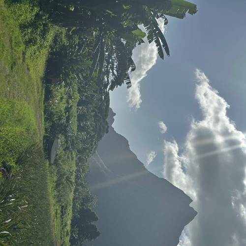 Tahiti Pod