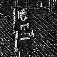 Ordem do Lotus Negro