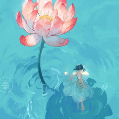 スイレン (Water Lily)