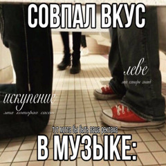шпиц + лави