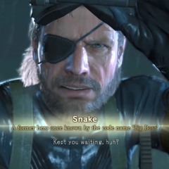 mgs