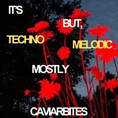 it's techno but, mostly melodic