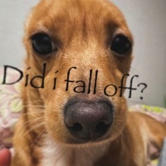 new year 🎆 w/ rivver