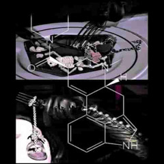 LSD #misfit *cover*