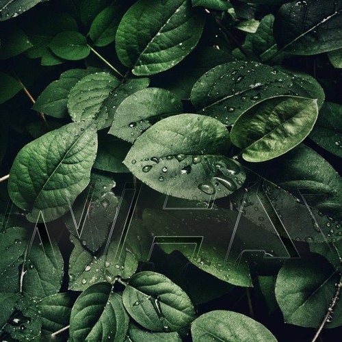 Ekul - Hits from the Herb